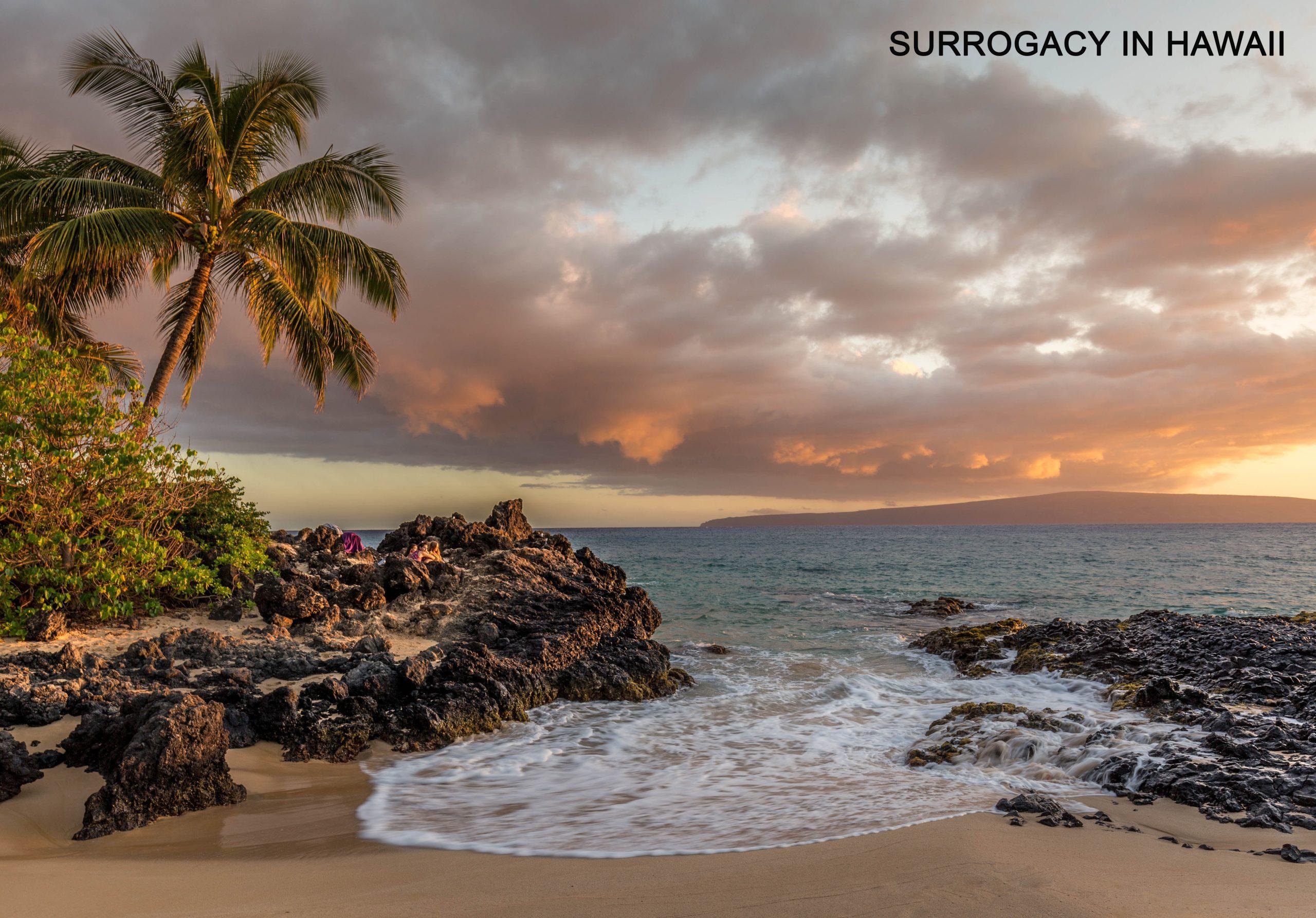 Surrogacy in Hawaii