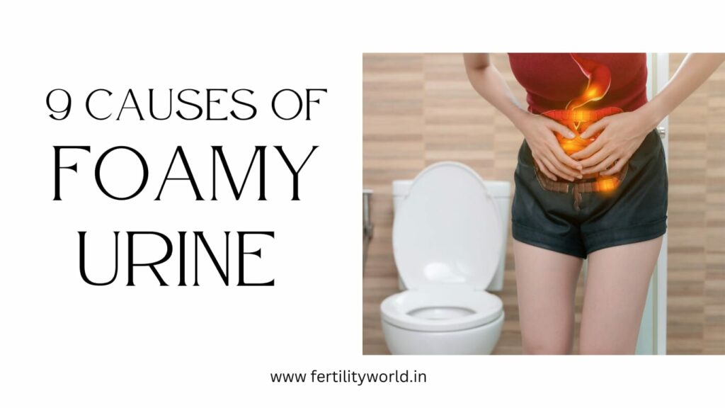 9 Causes of Foamy urine | FERTILITYWORLD