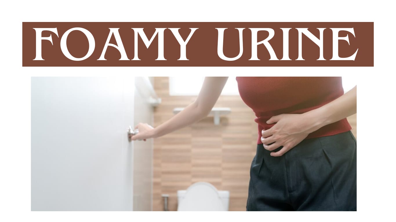 Foamy urine | FERTILITYWORLD