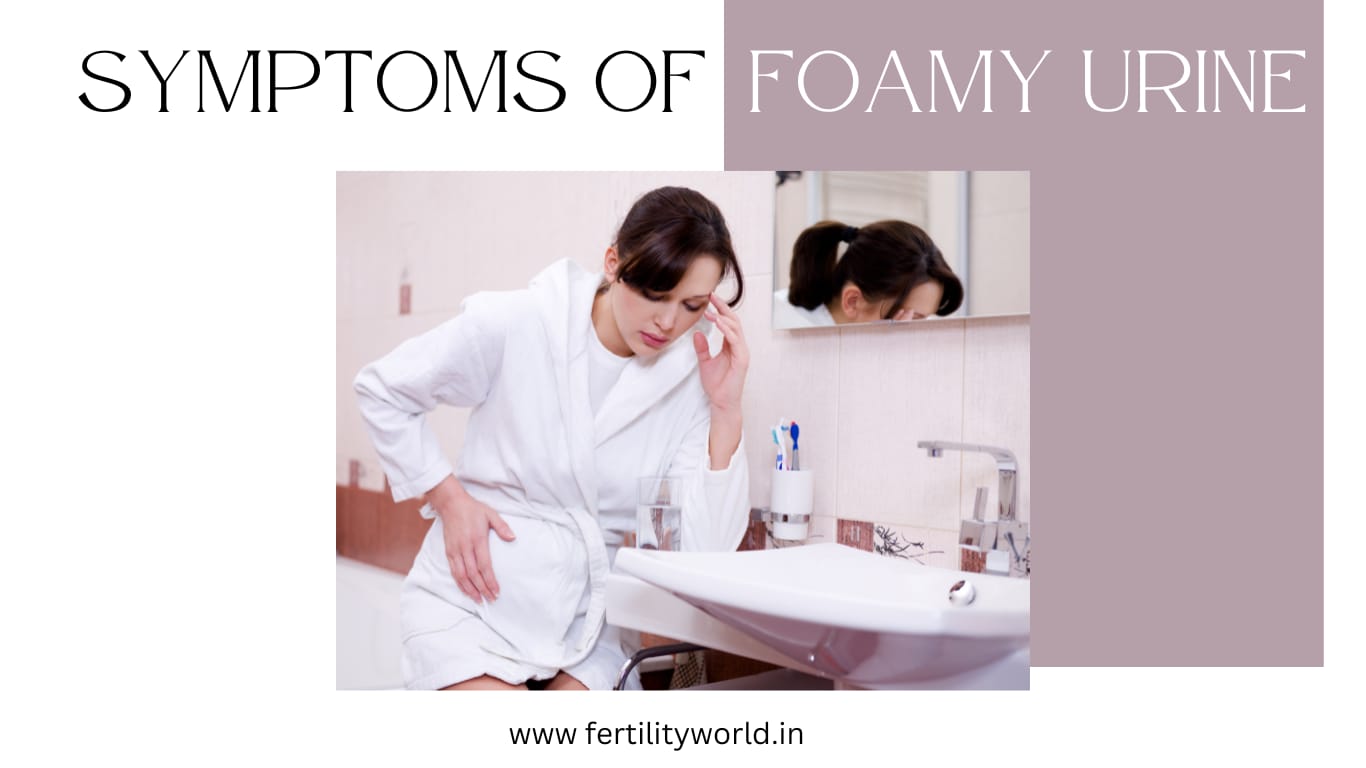 Symptoms of foamy urine | FERTILITYWORLD