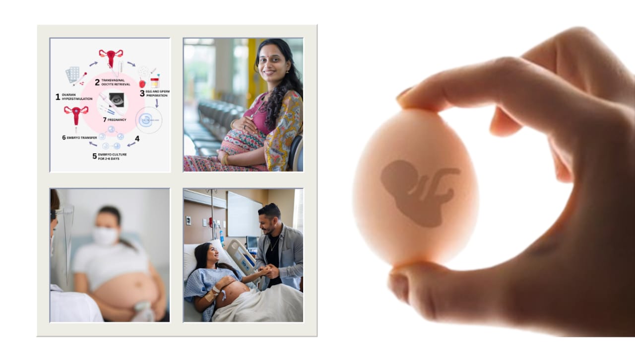 IVF Cost With Egg Donor in Pune