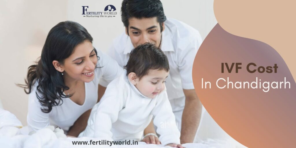 IVF cost in Chandigarh | IVF in Chandigarh