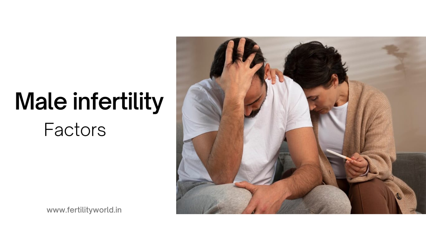 Male Infertility Factors