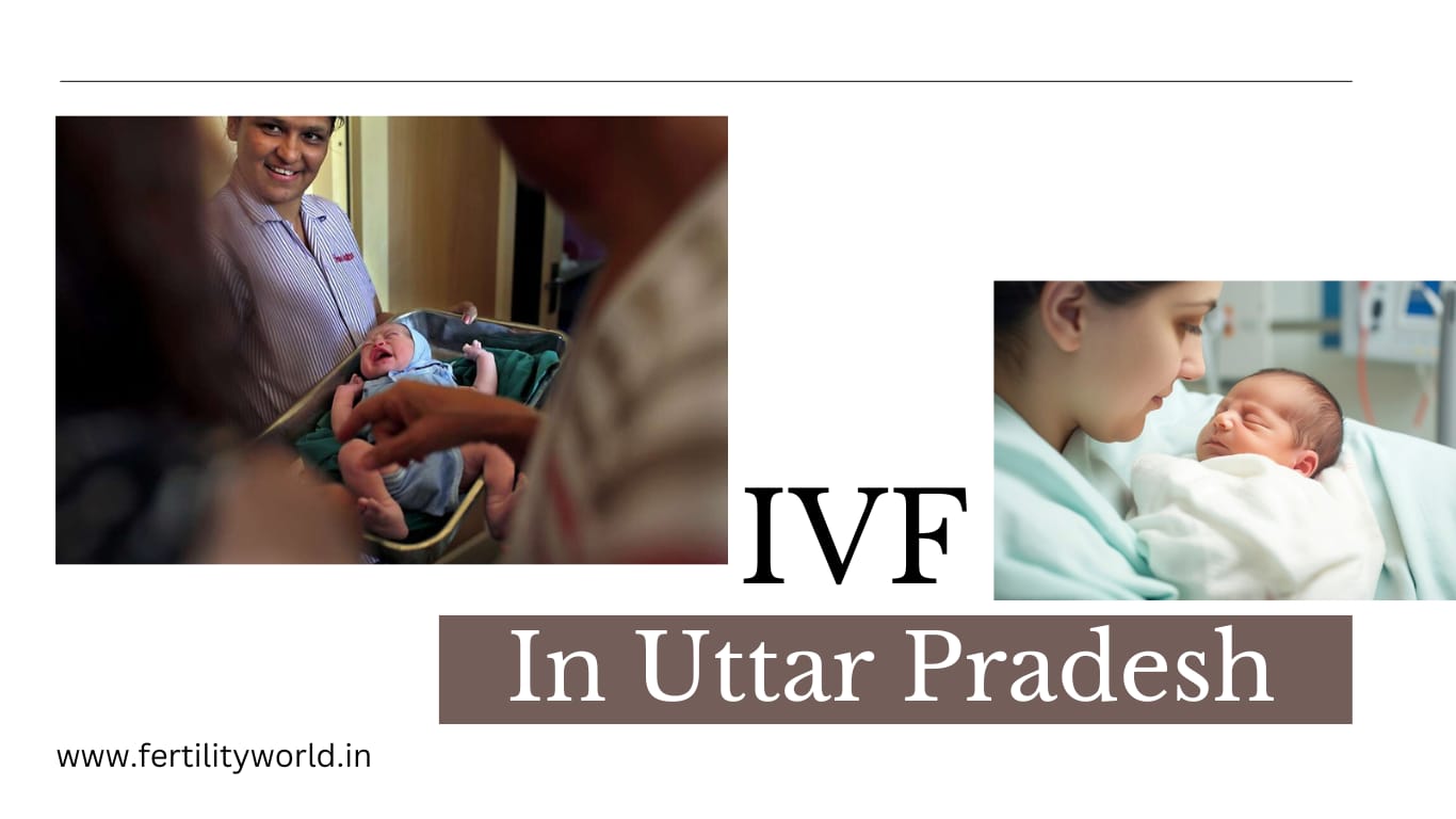 Which is the best IVF centre in Uttar Pradesh