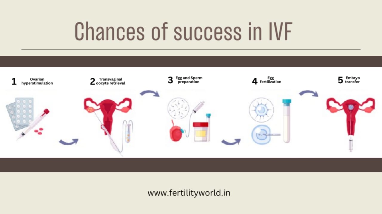 How can you optimize the chances of success in IVF