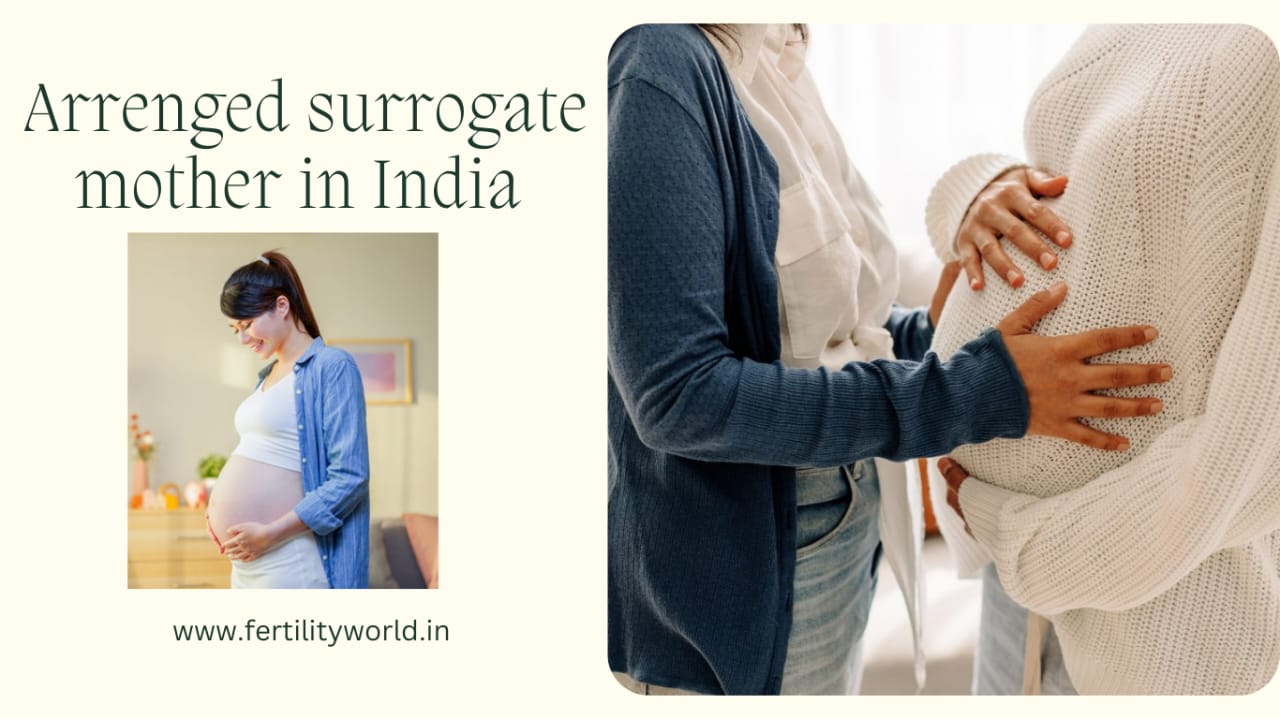 How is the surrogate mother arranged in India