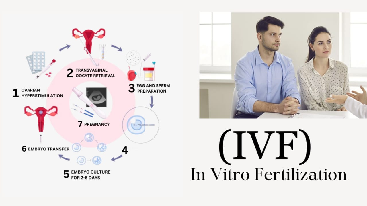 IVF Procedure in Noida