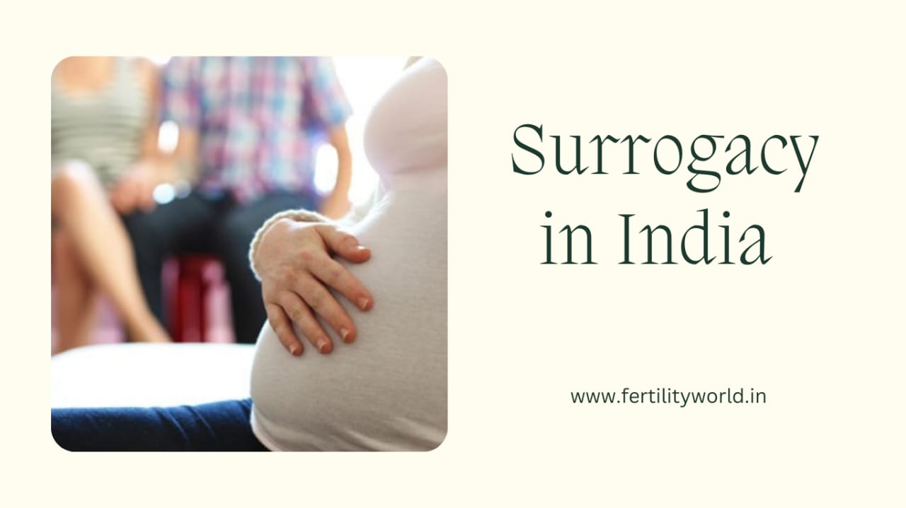 India as a Surrogacy destination