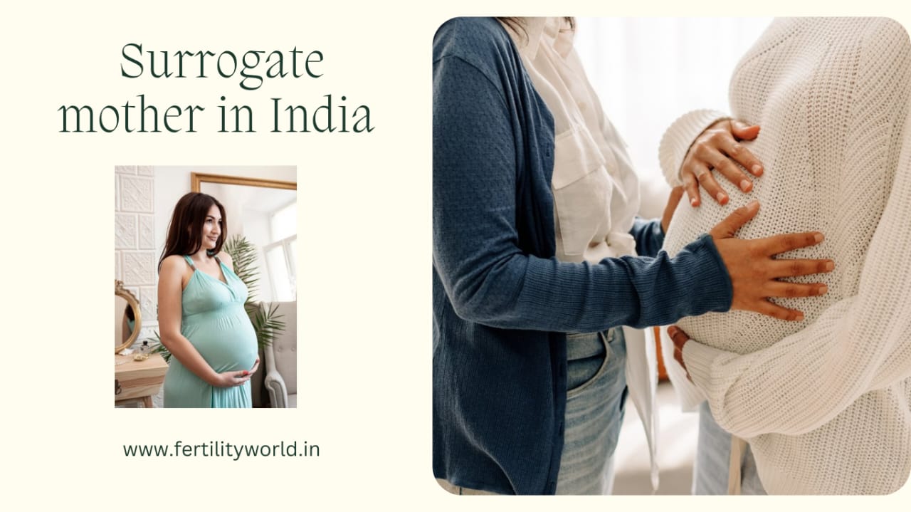 Surrogate mother cost in India I Fertilityworld