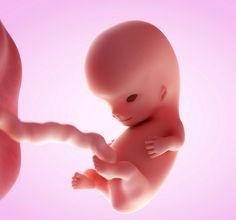 What is IVF technology | Fertility world