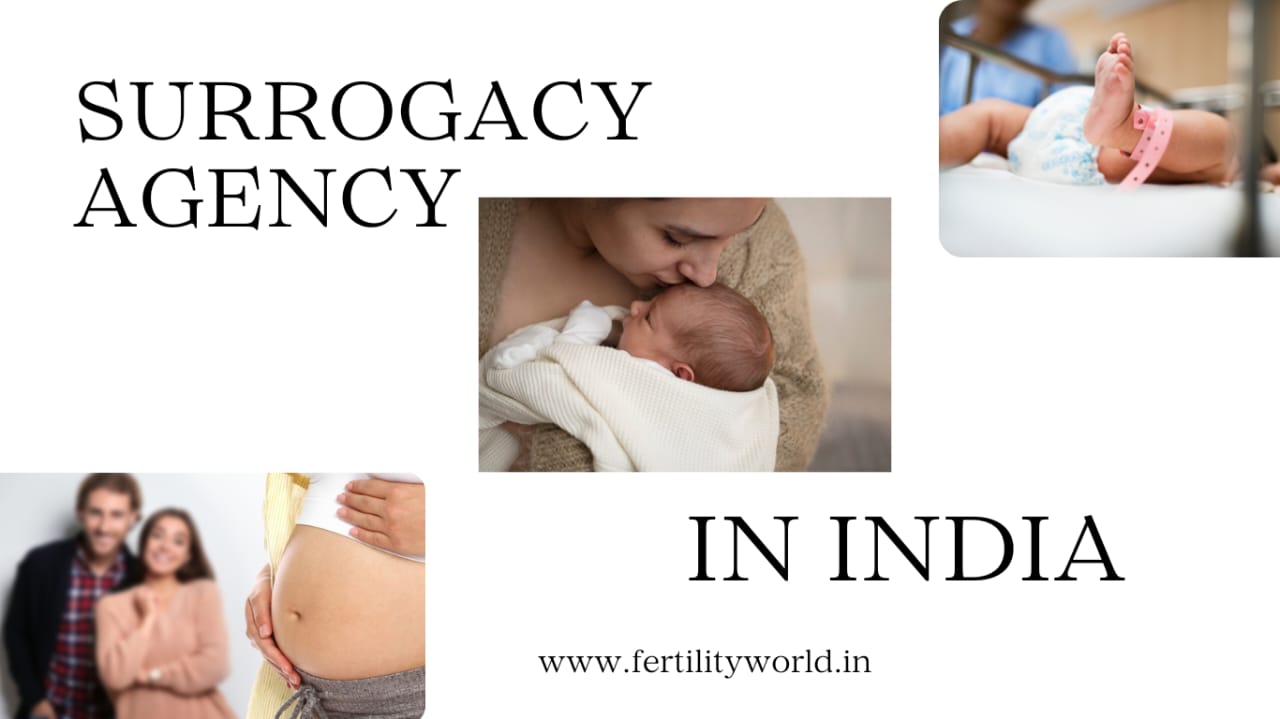 BEST SURROGACY AGENCY IN INDIA | FERTILITYWORLD