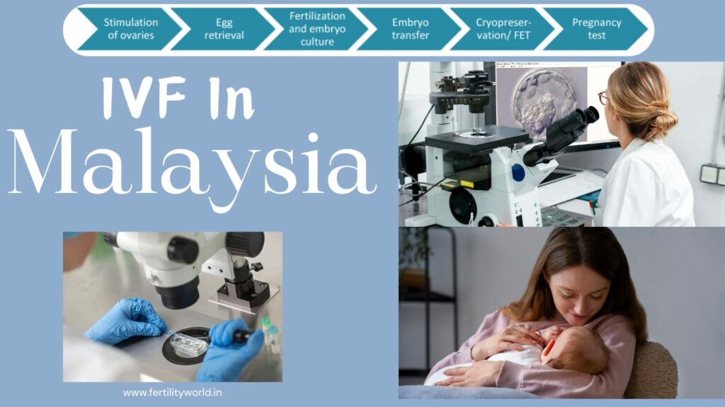 IVF in Malaysia | Fertilityworld