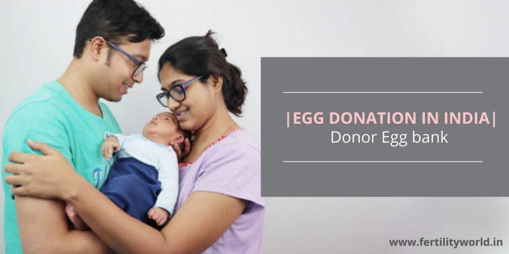 EGG DONATION IN INDIA DONOR EGG BANK