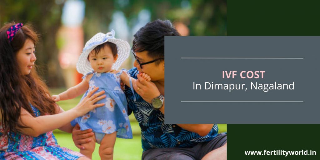 IVF cost in Dimapur Nagaland