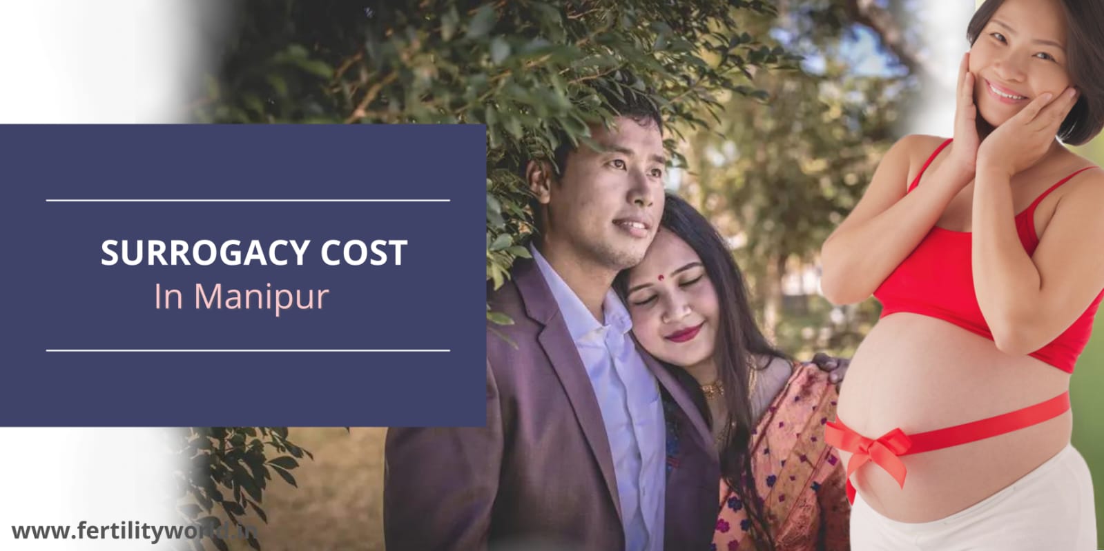 Surrogacy cost in Manipur