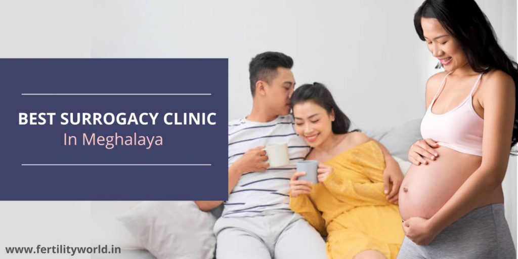 best surrogacy clinic in Meghalaya