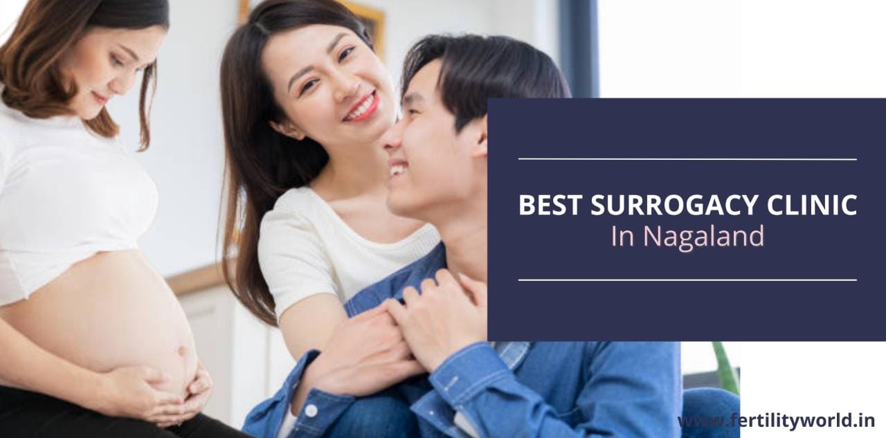 Best surrogacy clinic in Nagaland