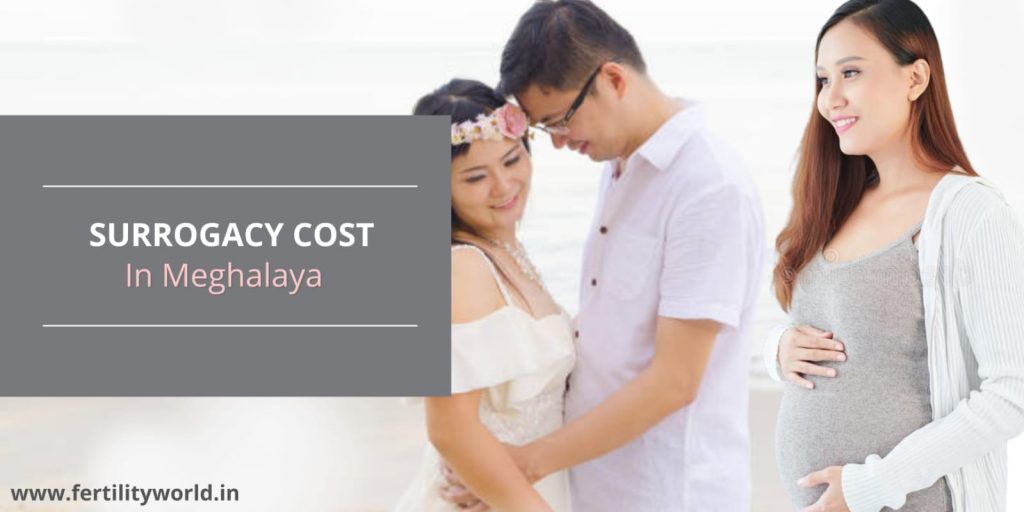 surrogacy cost in Meghalaya