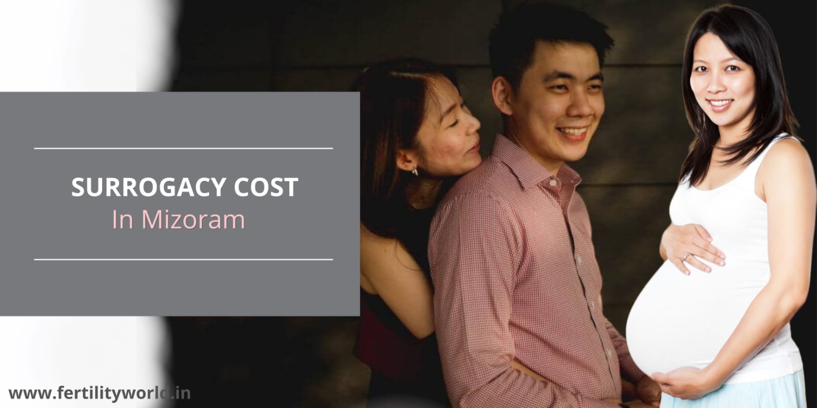 surrogacy cost in Mizoram