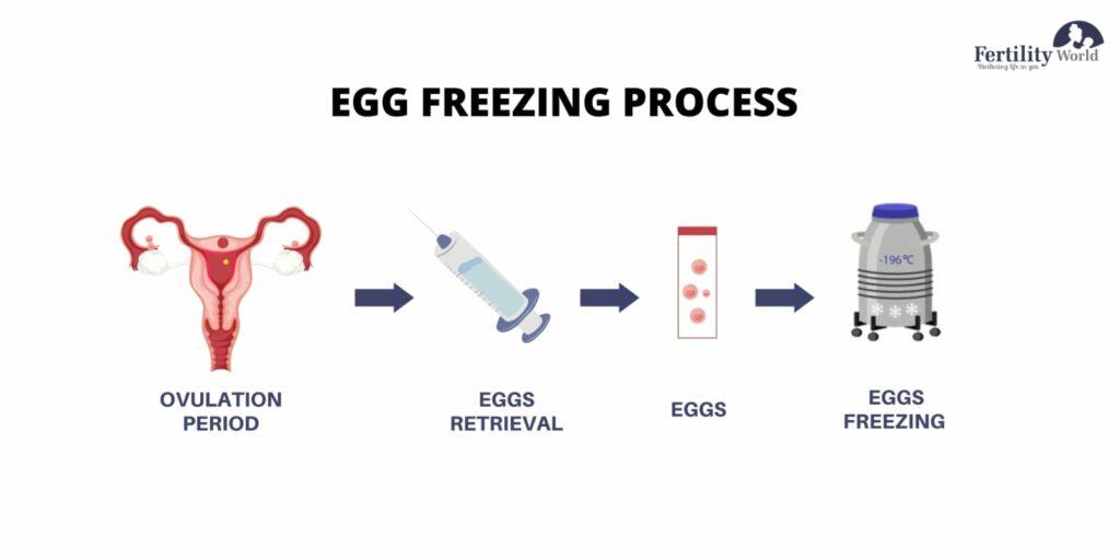 Egg Freezing Process in Pune