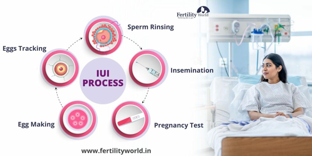 Intrauterine Insemination (IUI)