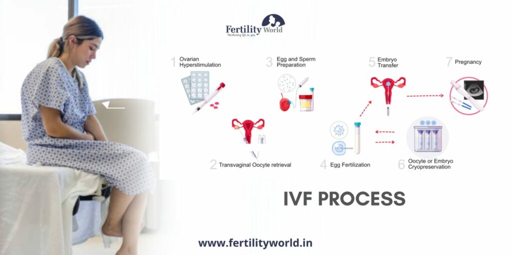 The process of IVF