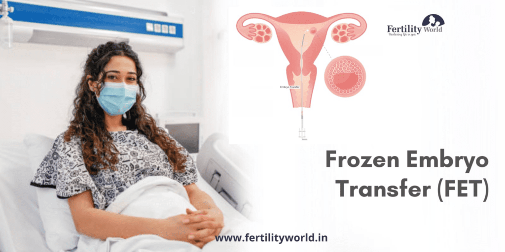 Cost of frozen embryo transfer (FET) in Faridabad