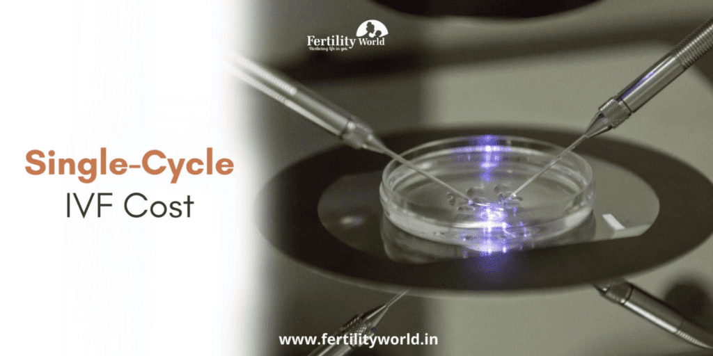 Cost of single-cycle IVF treatment in Faridabad