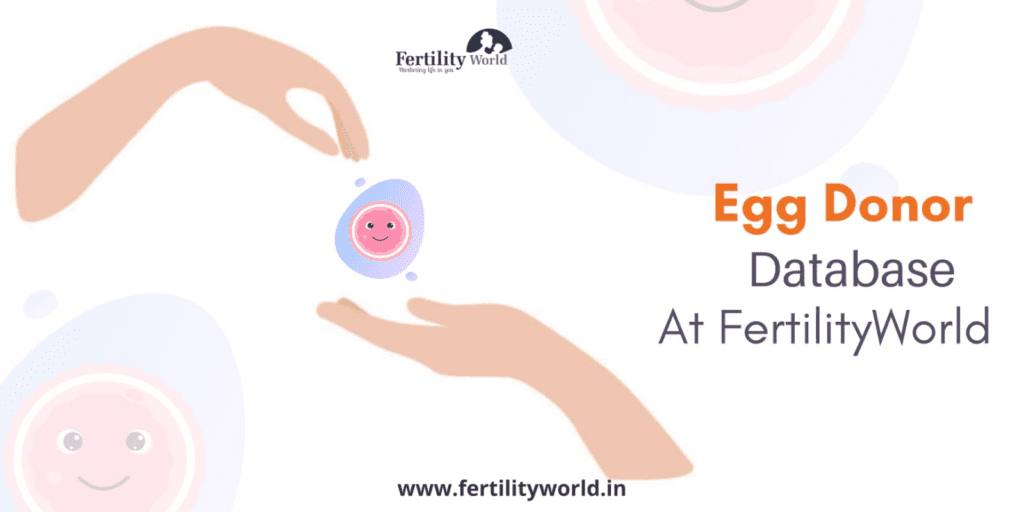 Fertillityworld Egg Donor Database