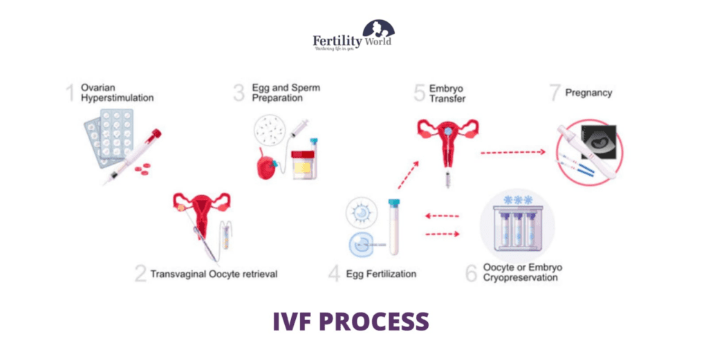 IVF process in the cheapest IVF country