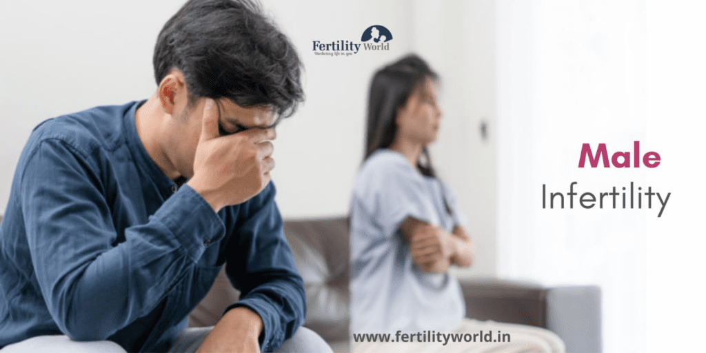 Male infertility factors