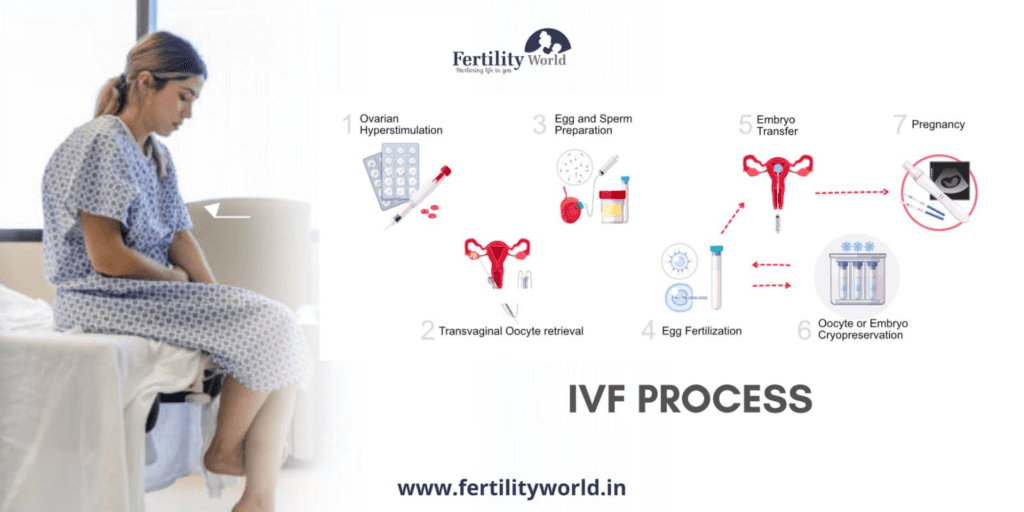 Step-by-step IVF process