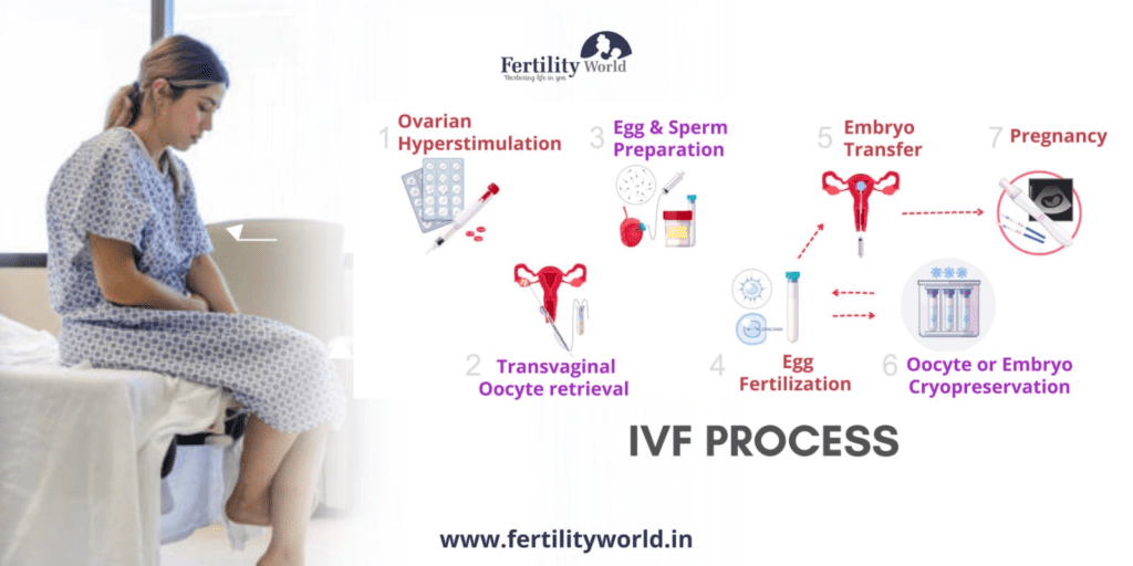 IVF process step by step