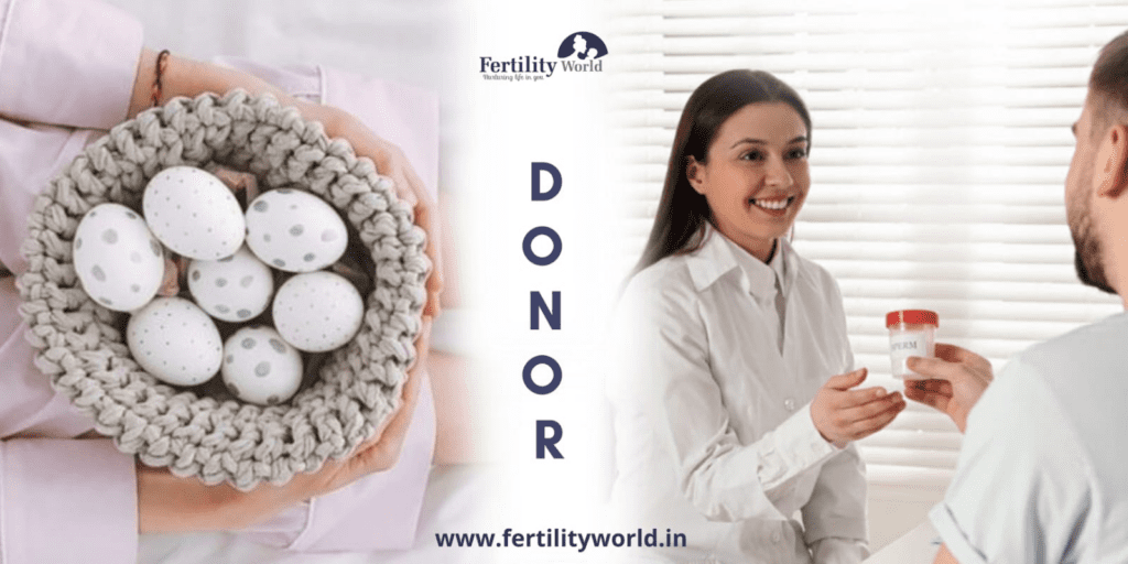 Egg donor Database at fertilityworld