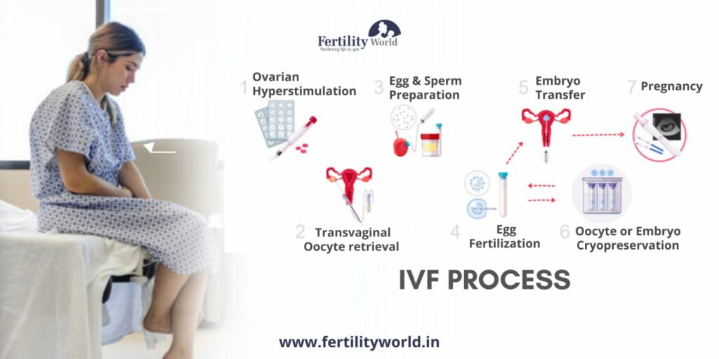 IVF treatment process step by step