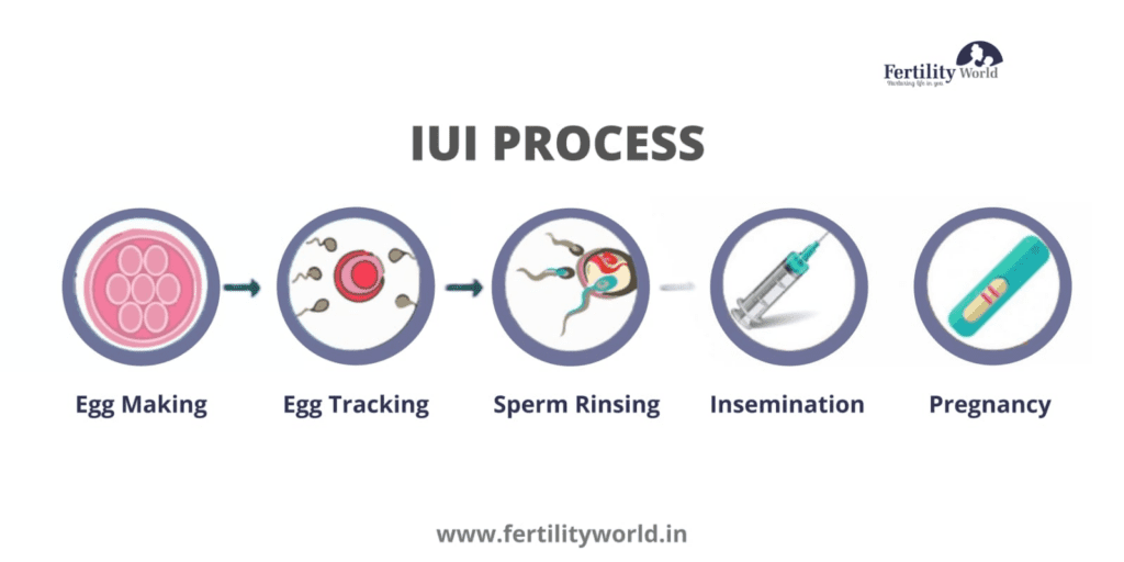 What is the IUI cost in Kerala?