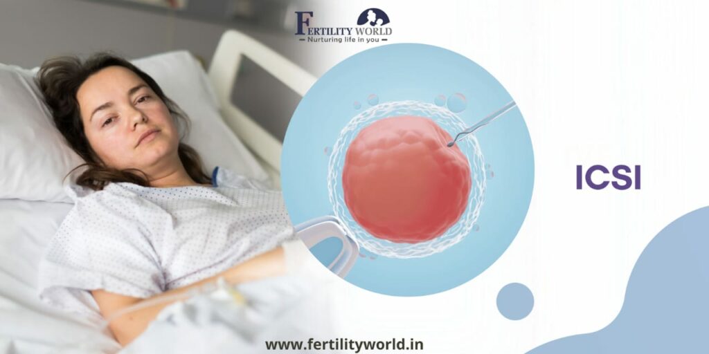 Cost of Intracytoplasmic sperm injection (ICSI) 