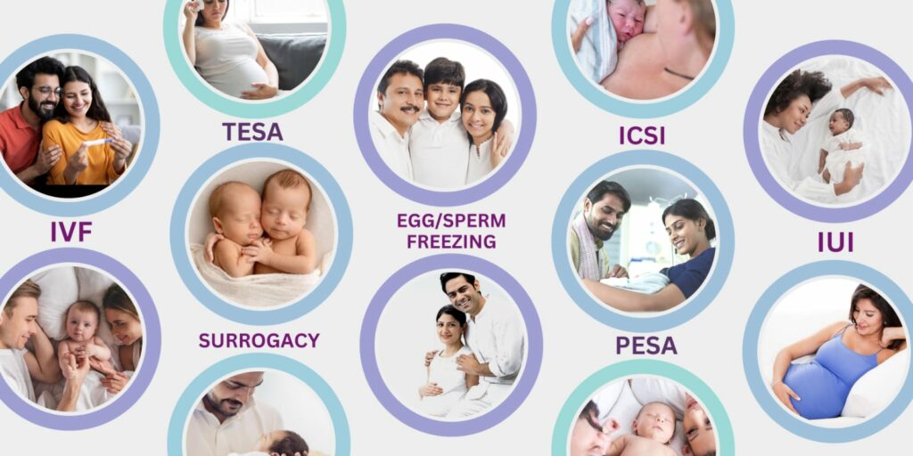 Available fertility treatments and services in Meerut