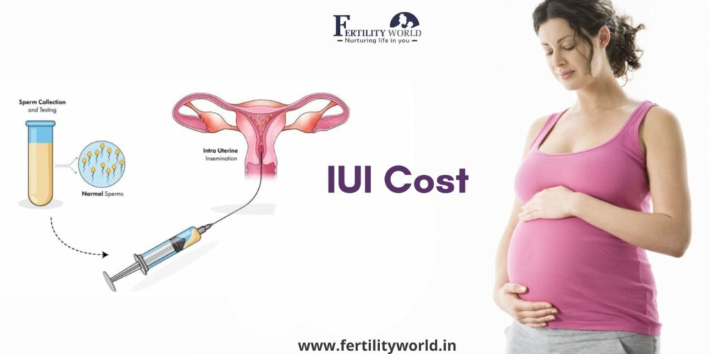 IUI Treatment Cost in Pune