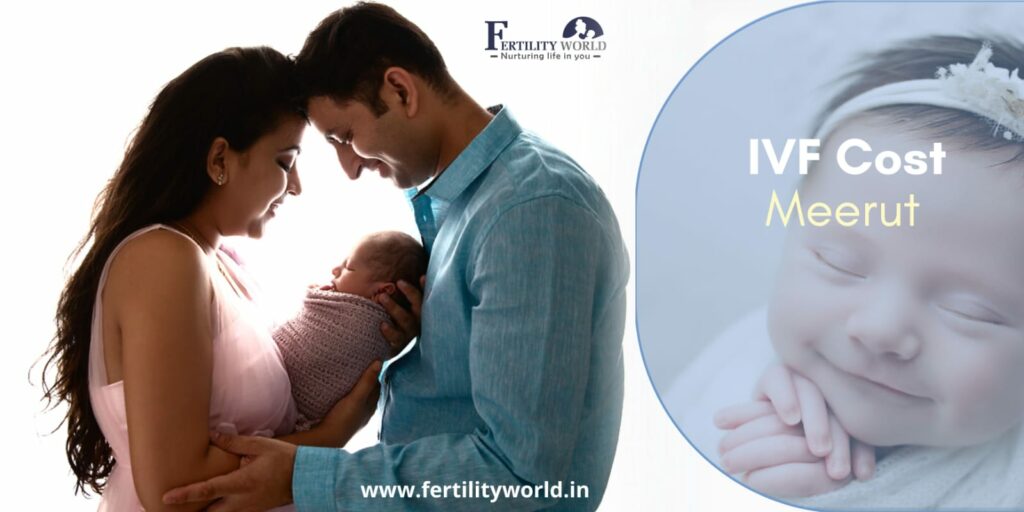 IVF cost in Meerut