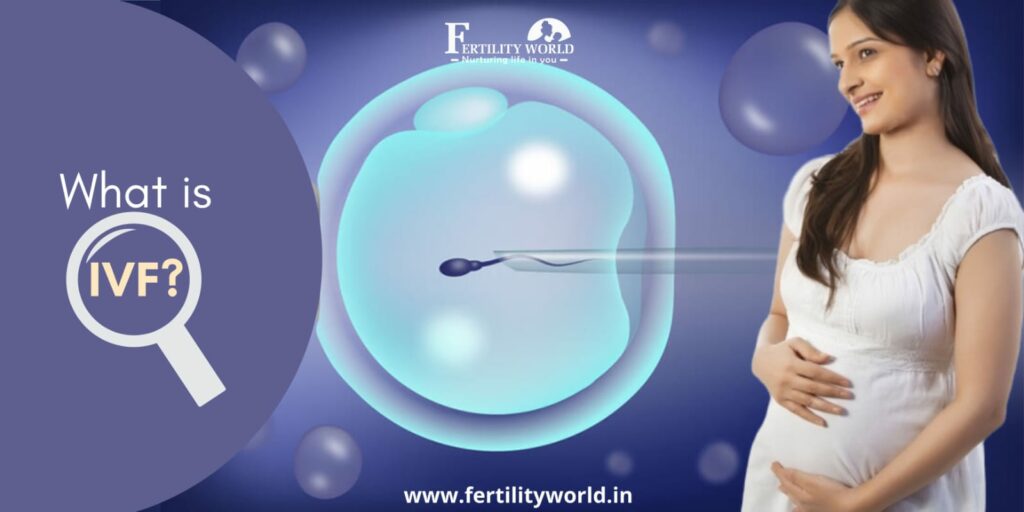 In-Vitro Fertilisation (IVF) in Pune