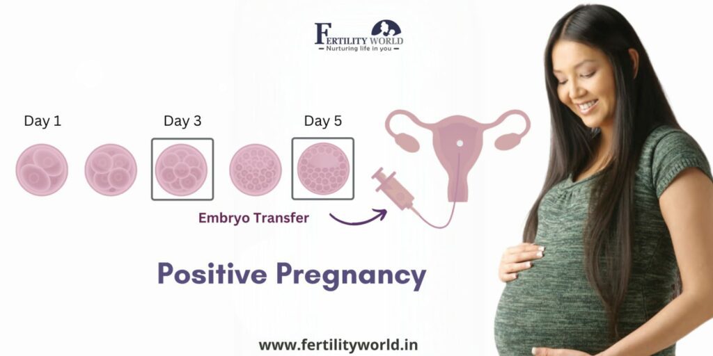 What is the IVF success rate in Meerut?