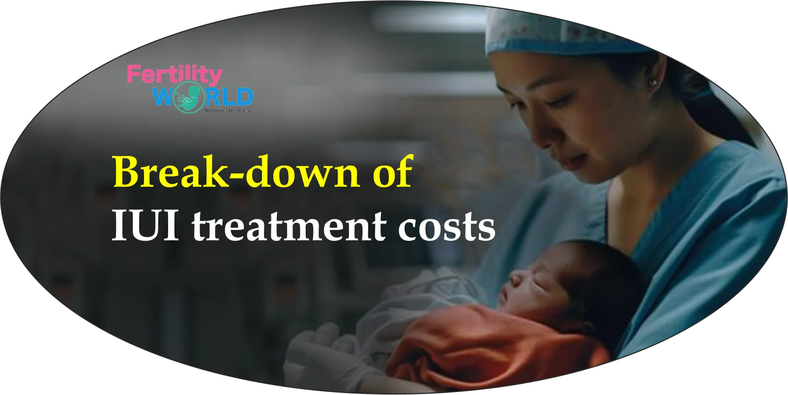 break down of IUI treatment cost