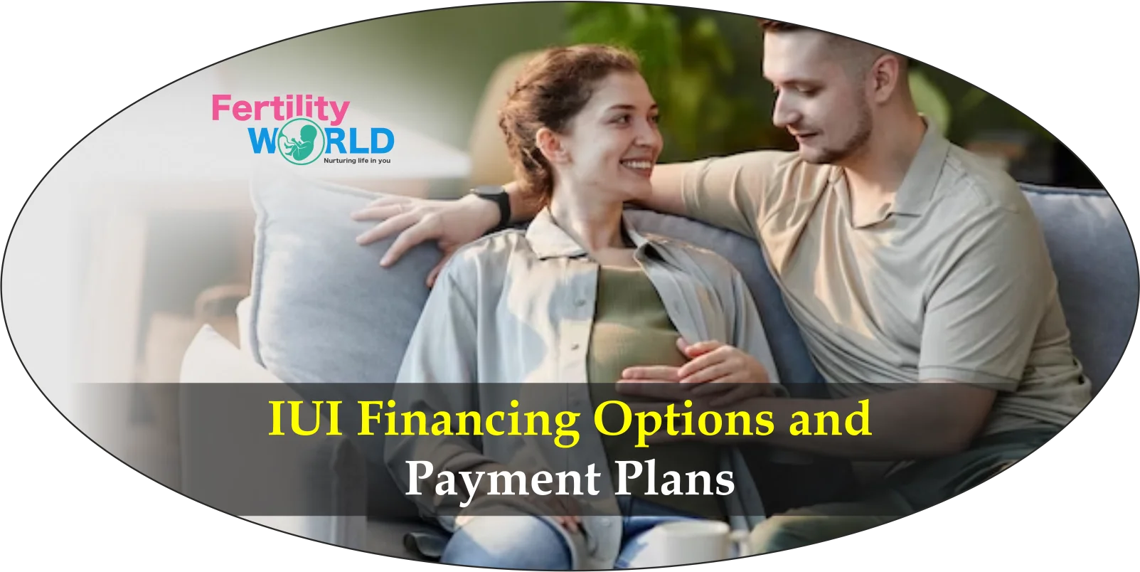 IUI financing options