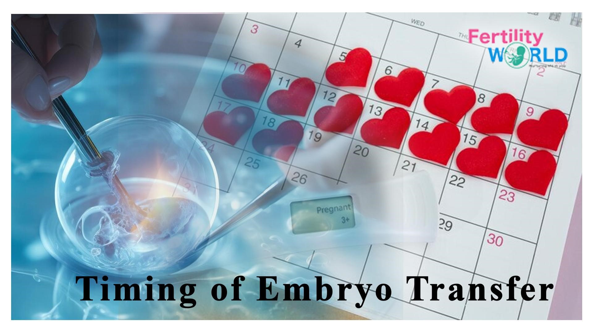 timing of embryo transfer