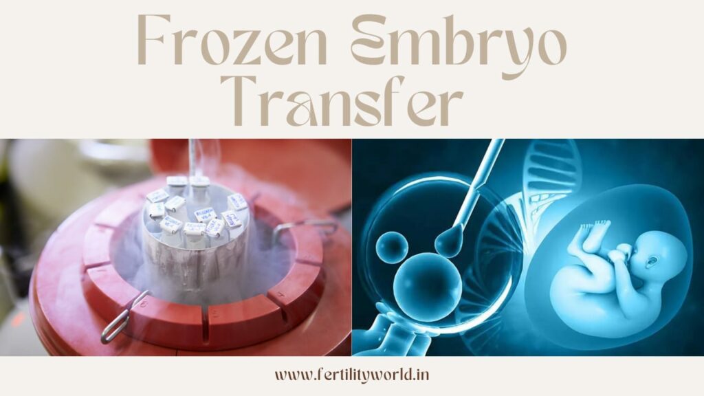 Frozen Embryo Transfer (FET)| Fertilityworld