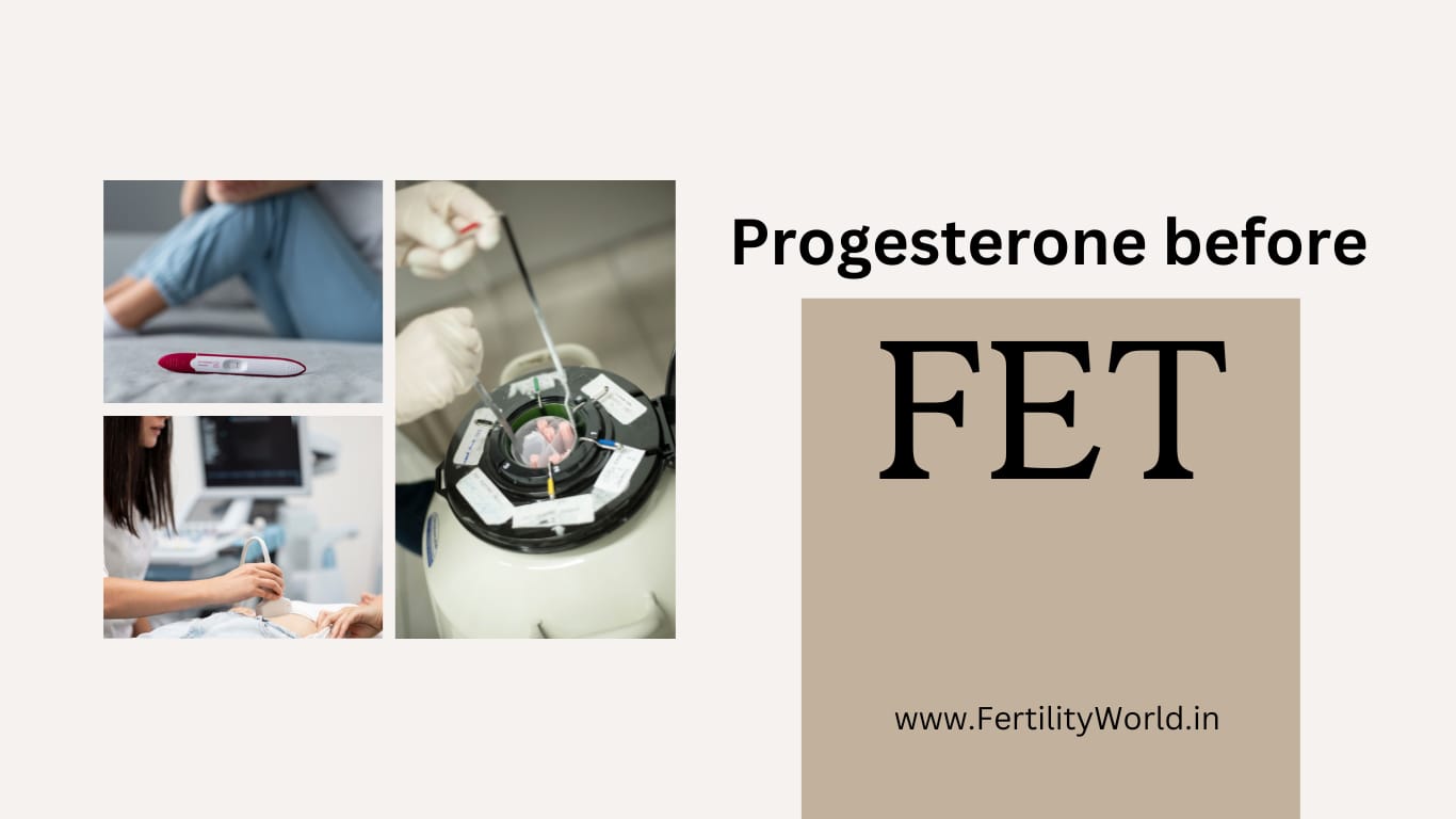 FROZEN EMBRYO TRANSFER FERTILITYWORLD