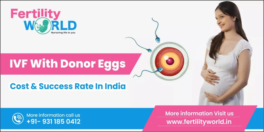 IVF With Donor Eggs