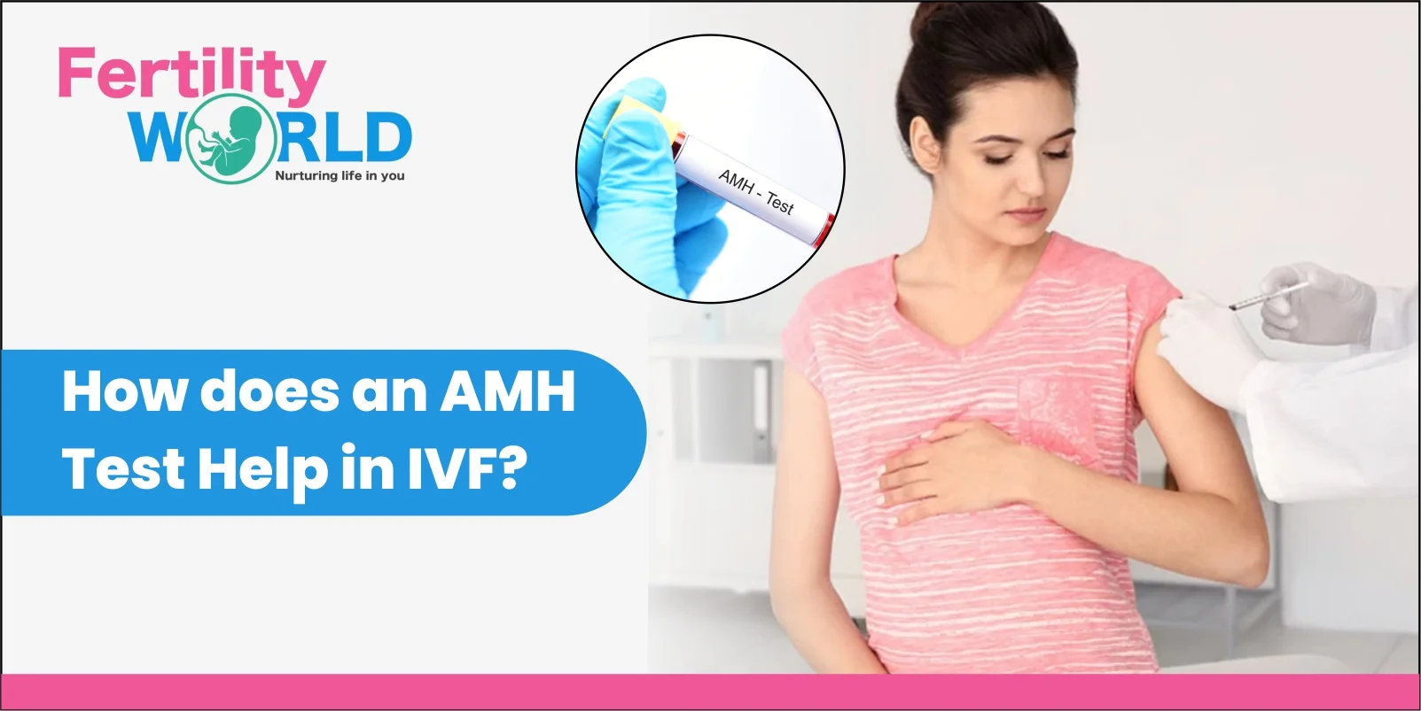 How does an AMH Test Help in IVF?