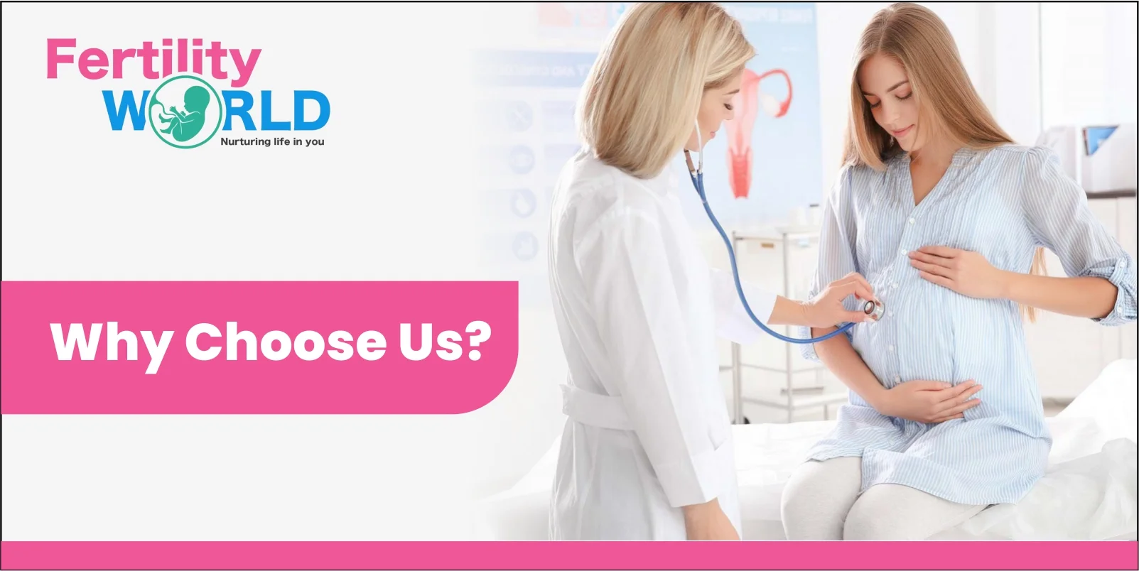 Why Choose Us?